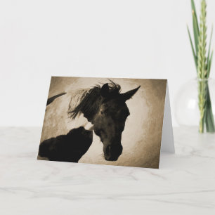 Indian Pony Greeting Card