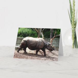 Indian rhino animal holiday card