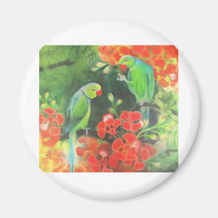 indian ring necks on a flamboyant tree magnet