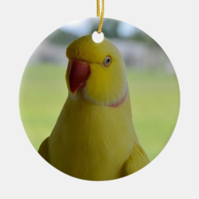 Indian Ringneck in the Shade Ceramic Tree Decoration (Front)