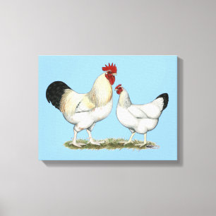 Indian River Chickens Canvas Print