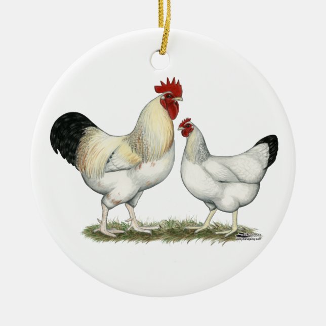 Indian River Chickens Ceramic Tree Decoration (Front)