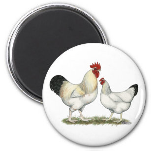 Indian River Chickens Magnet