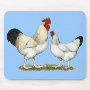 Indian River Chickens Mouse Mat