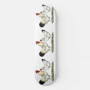 Indian River Chickens Skateboard