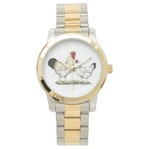 Indian River Chickens Watch