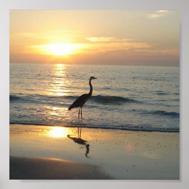 Indian Rocks Beach Florida Sunset Crane Poster (Front)