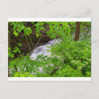 Indian Run Falls, Dublin, Ohio Postcard