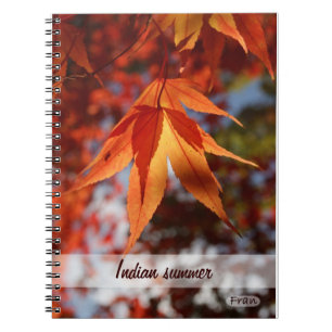 Indian summer notebook