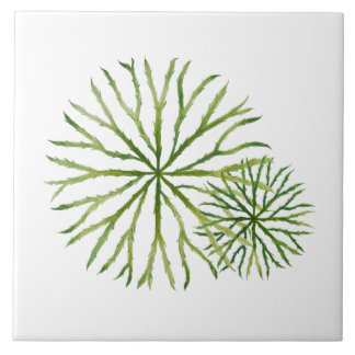 Indian Summer on a Ceramic Tile (W)