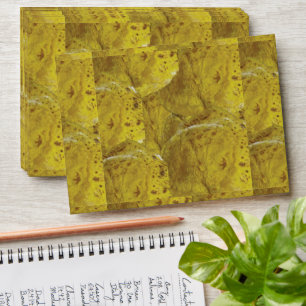Indian Sweet Puran Poli Sweet Food Envelope