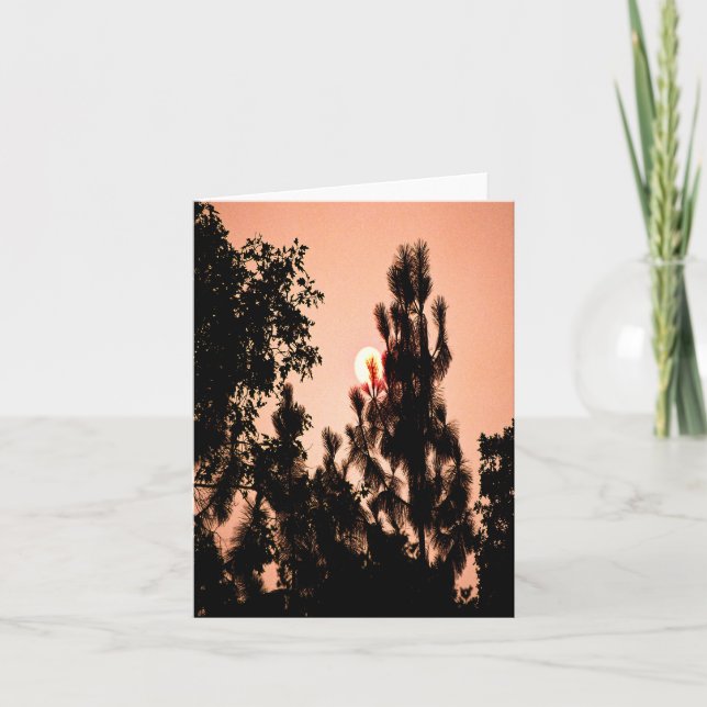 Indian Valley fire..... Card (Front)