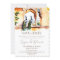 Indian wedding save the date peacock Jaipur palace