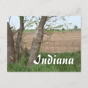 Indiana Countryside Postcard