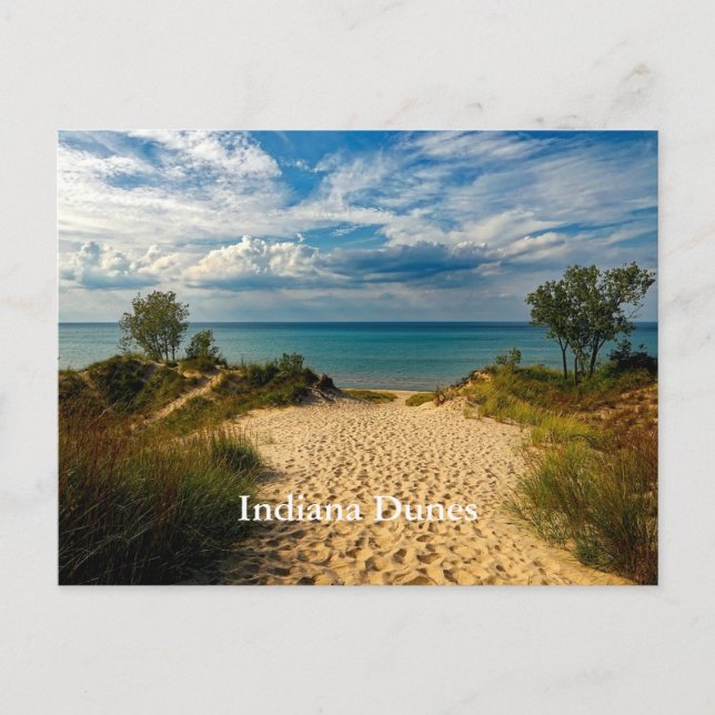 Indiana Dunes, Lake Michigan, labelled Postcard (Front)