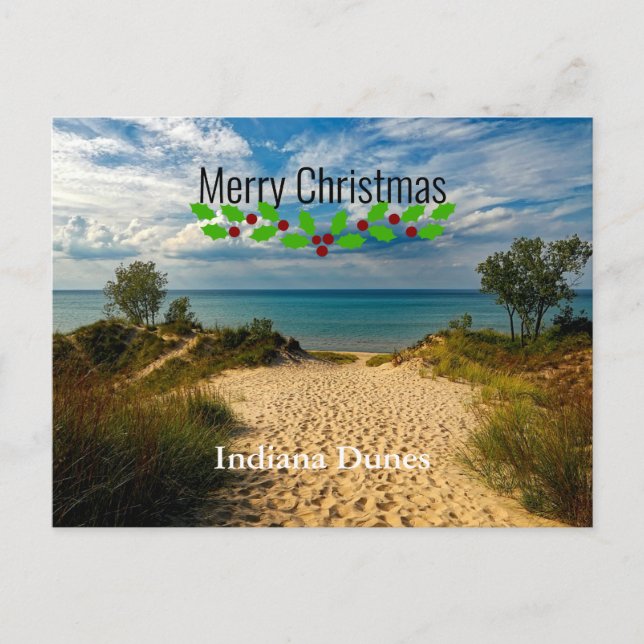 Indiana Dunes, Lake Michigan,  Postcard (Front)