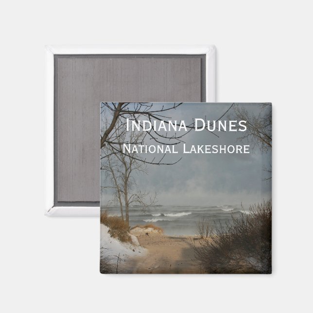 Indiana Dunes, Lake Shore, Cloudy, Winter Magnet (Front/Back)