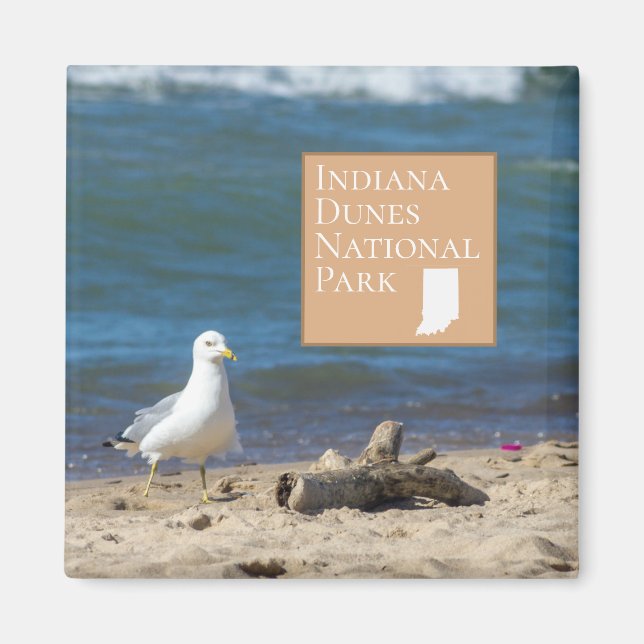 Indiana Dunes National Park Gift Magnet (Front)
