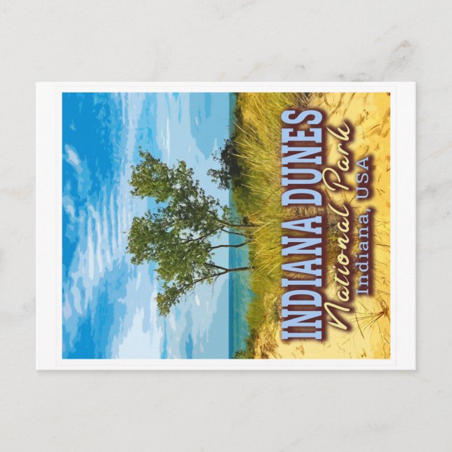 INDIANA DUNES NATIONAL PARK - INDIANA USA POSTCARD (Front)