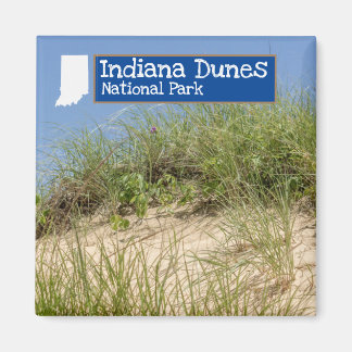 Indiana Dunes National Park Magnet