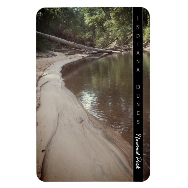 Indiana Dunes National Park Scemic Creek Photo Pos Magnet (Vertical)