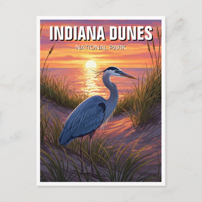 Indiana Dunes National Park Travel Heron Postcard (Front)