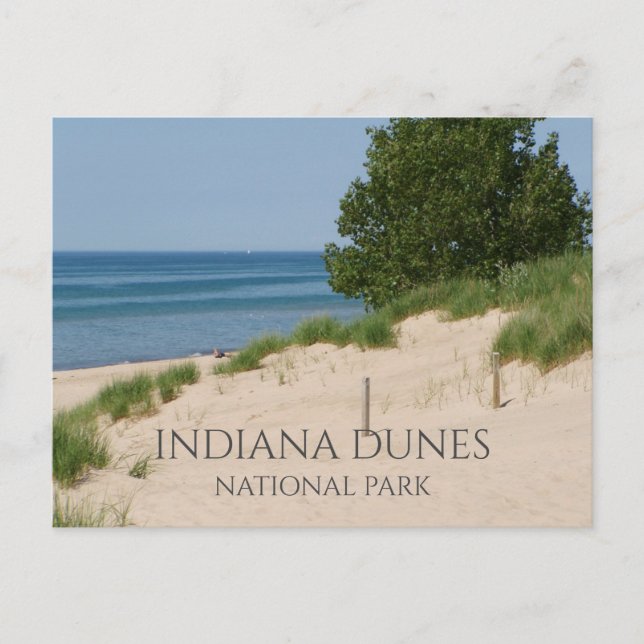Indiana Dunes Postcard (Front)