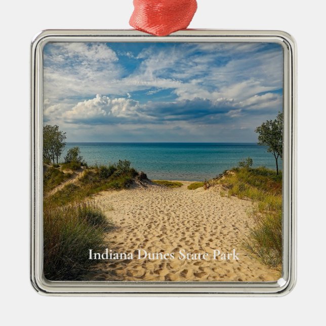 Indiana Dunes State Park Metal Tree Decoration (Front)