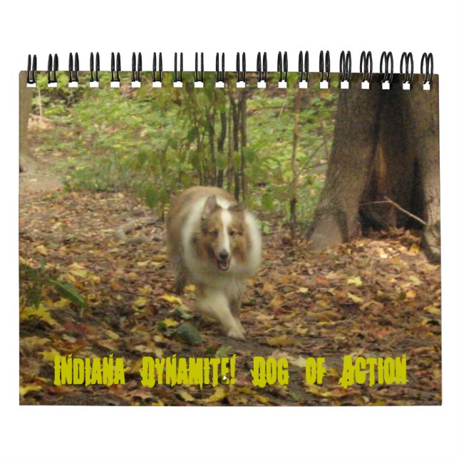Indiana Dynamite! Dog of Action Calendar (Cover)