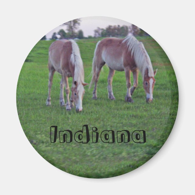 Indiana Horses Magnet (Front)
