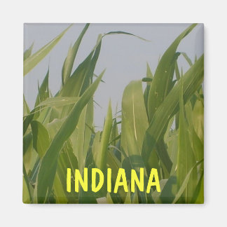 Indiana Magnet