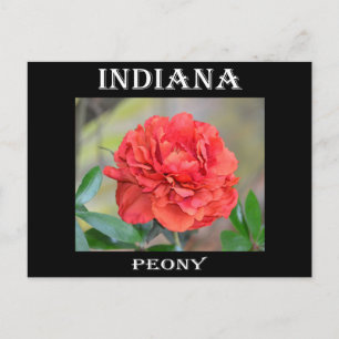 Indiana Peony Postcard