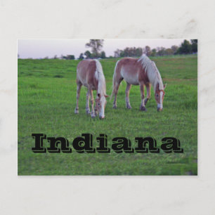 Indiana Postcard