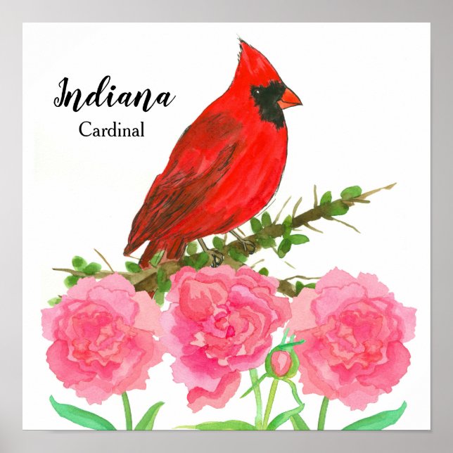 Indiana Red Cardinal Peonies Hoosiers Poster (Front)