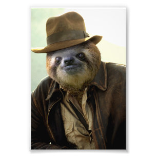 Indiana Sloth Photo Print