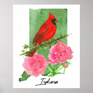 Indiana State Shape Hoosiers Cardinal Peonies  Poster