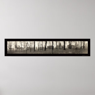 Indiana University Photo 1913 Poster