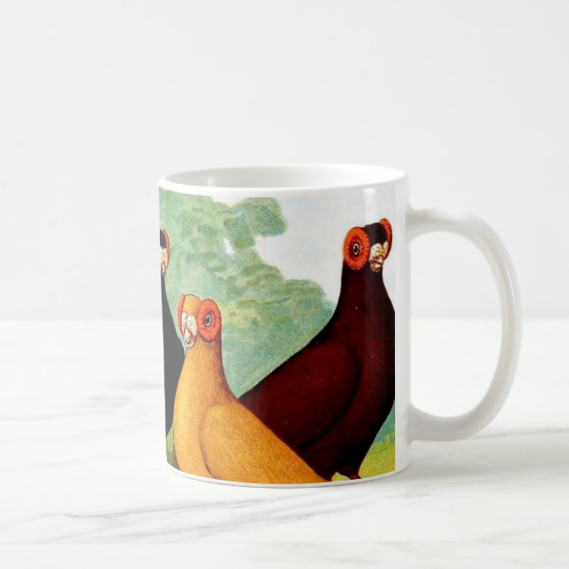 Indianer Pigeons Coffee Mug (Right)