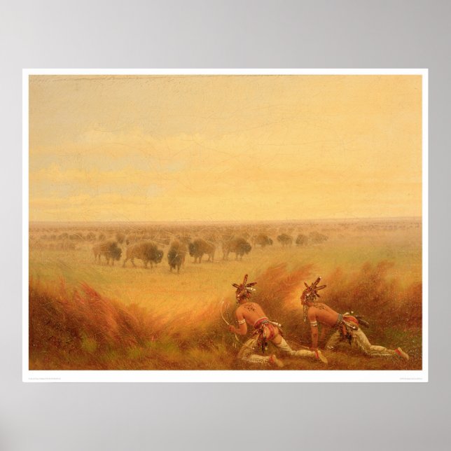 Indians Creeping up on a Herd of Buffalo (1907A) Poster (Front)