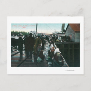 Indians Selling Curios at Yakital, Yukon Postcard