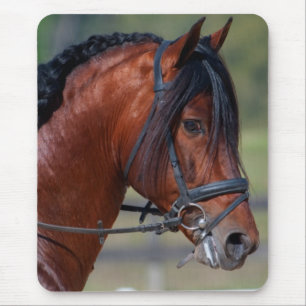 INDICO VII MOUSE MAT