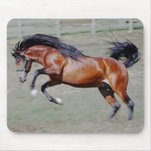 Indico VII Reaching Out Mouse Mat