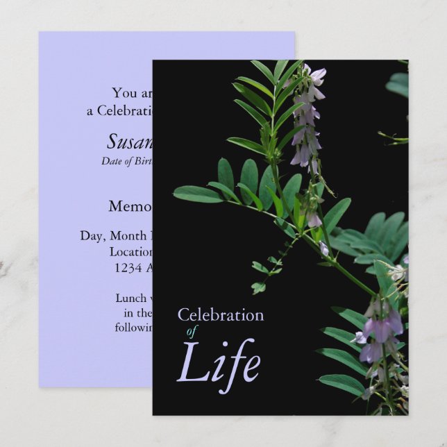 Indigo 2 Celebration of Life Funeral Announcement (Front/Back)