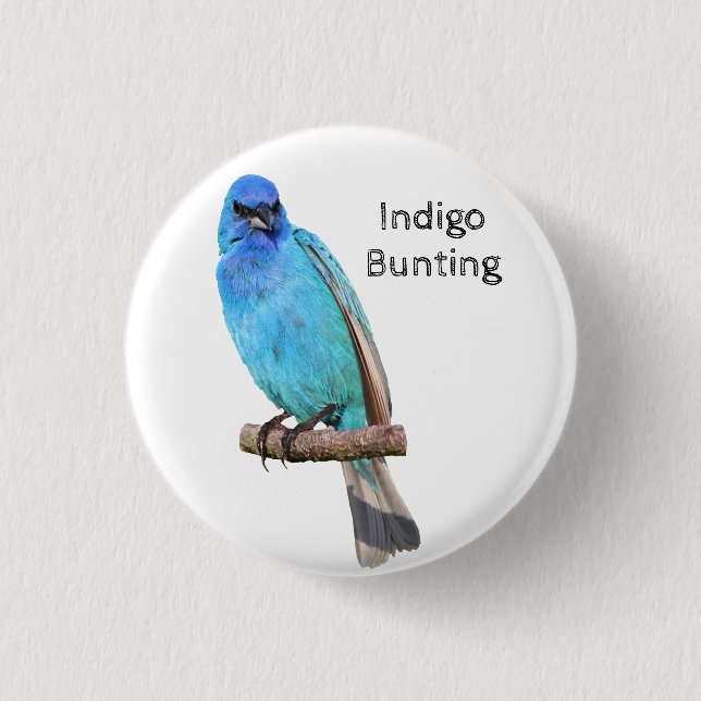 Indigo Bunting 3 Cm Round Badge (Front)