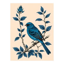 Indigo Bunting Bliss - A Song of Colours