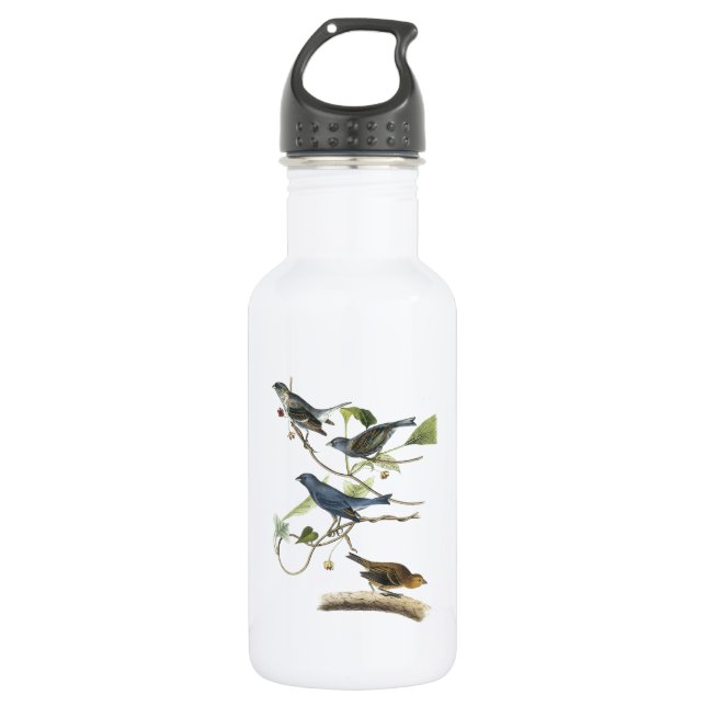 Indigo Bunting by Audubon 532 Ml Water Bottle (Front)
