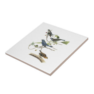 Indigo Bunting by Audubon Tile