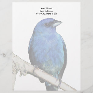 Indigo Bunting Custom Letterhead
