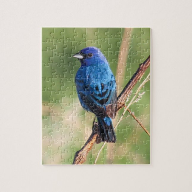 Indigo Bunting Jigsaw Puzzle (Vertical)