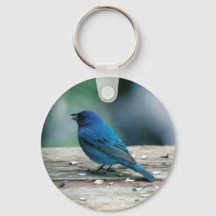 Indigo Bunting Key Ring
